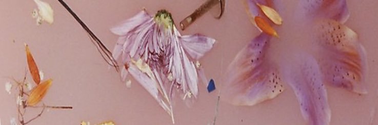 hsxxjm's profile banner image