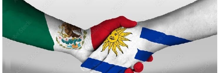 María Inés Villalba Sanchez (@nutysal) / Posts / X