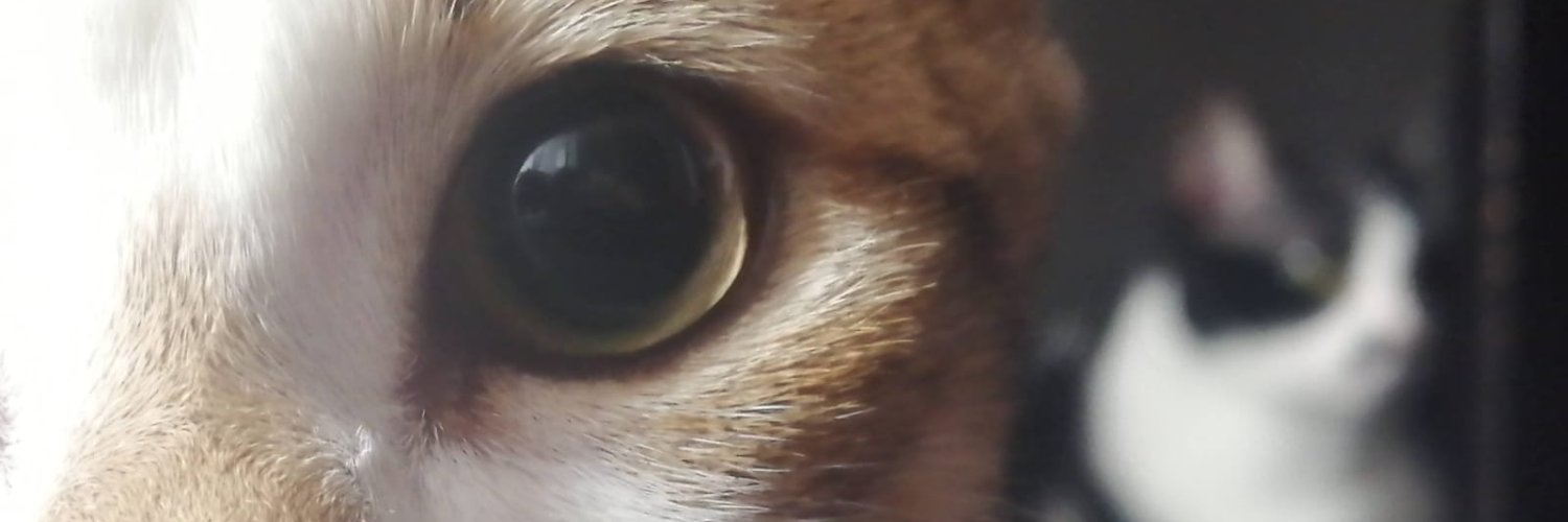 vanejsk's profile banner image