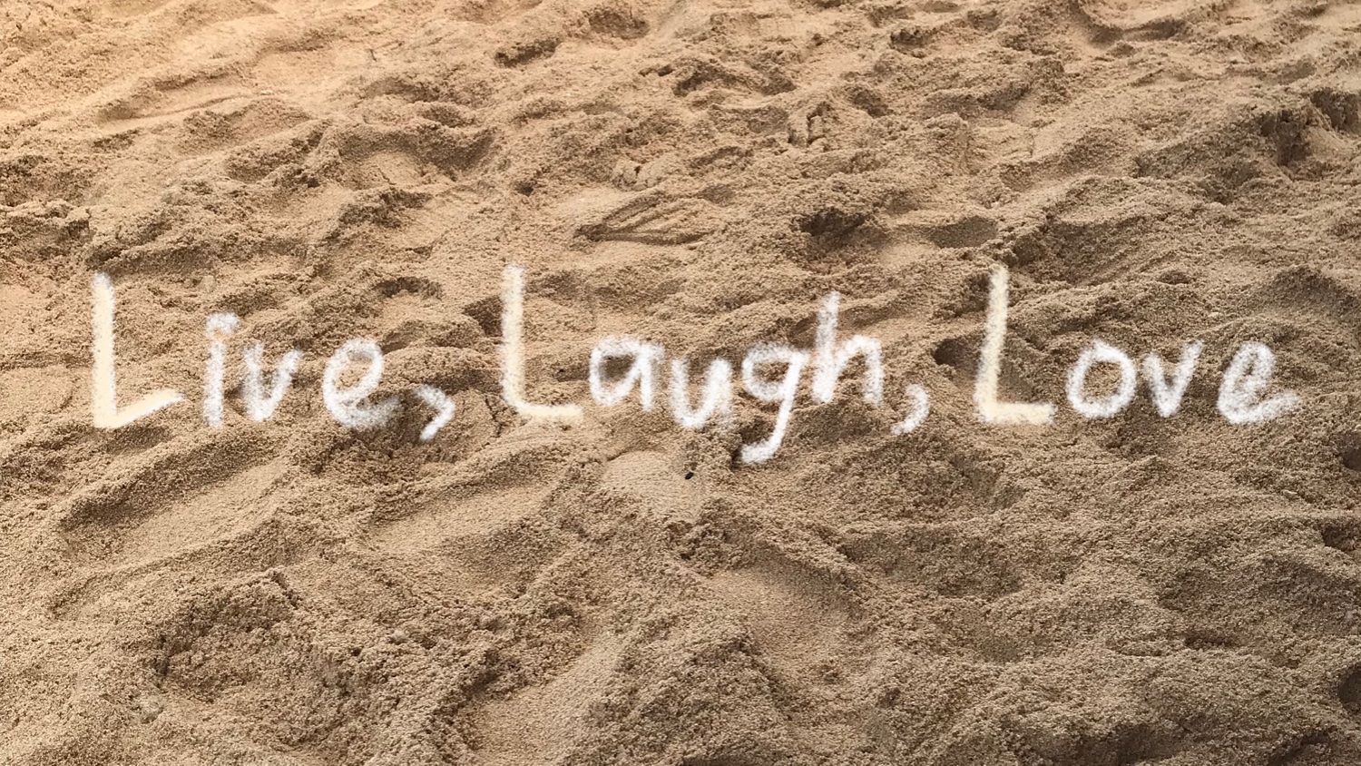 bit_bunn1e's profile banner image