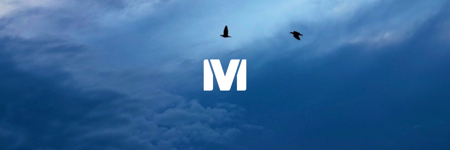 mostlyvito's profile banner image