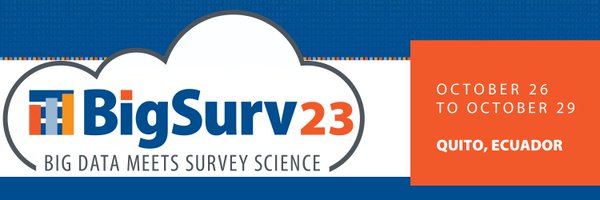 BigSurvConf Profile Banner