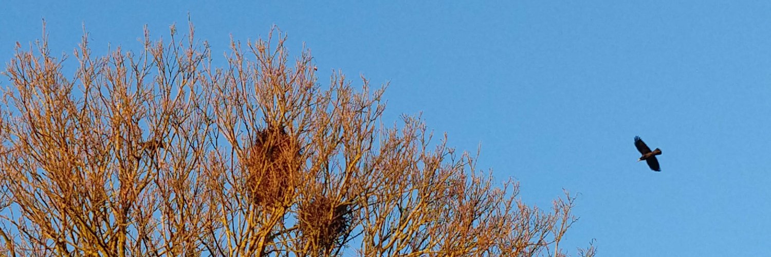St Mary's Southwick banner
