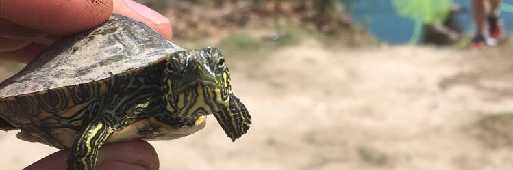 jdarndt99's profile banner image