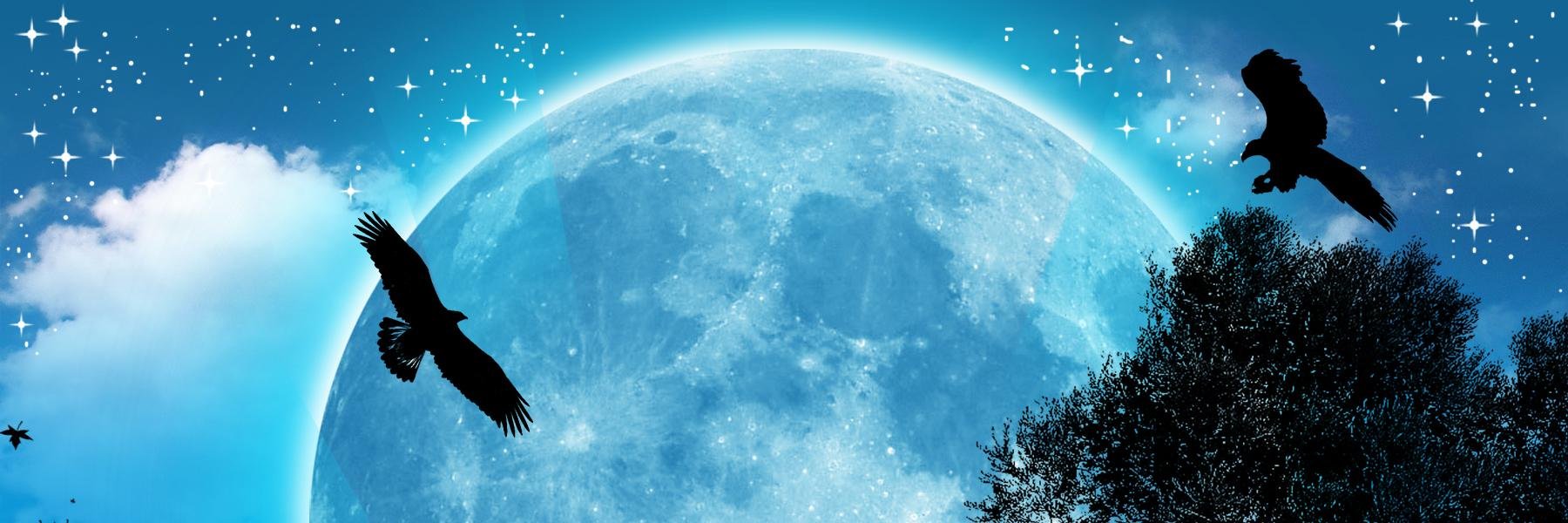 DrthL7's profile banner image