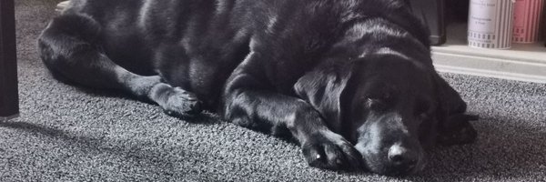 Chezzaj10 Profile Banner