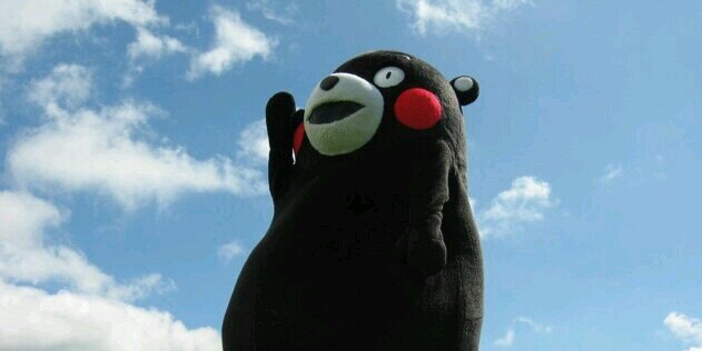2452525's profile banner image