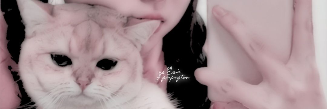 payyie banner