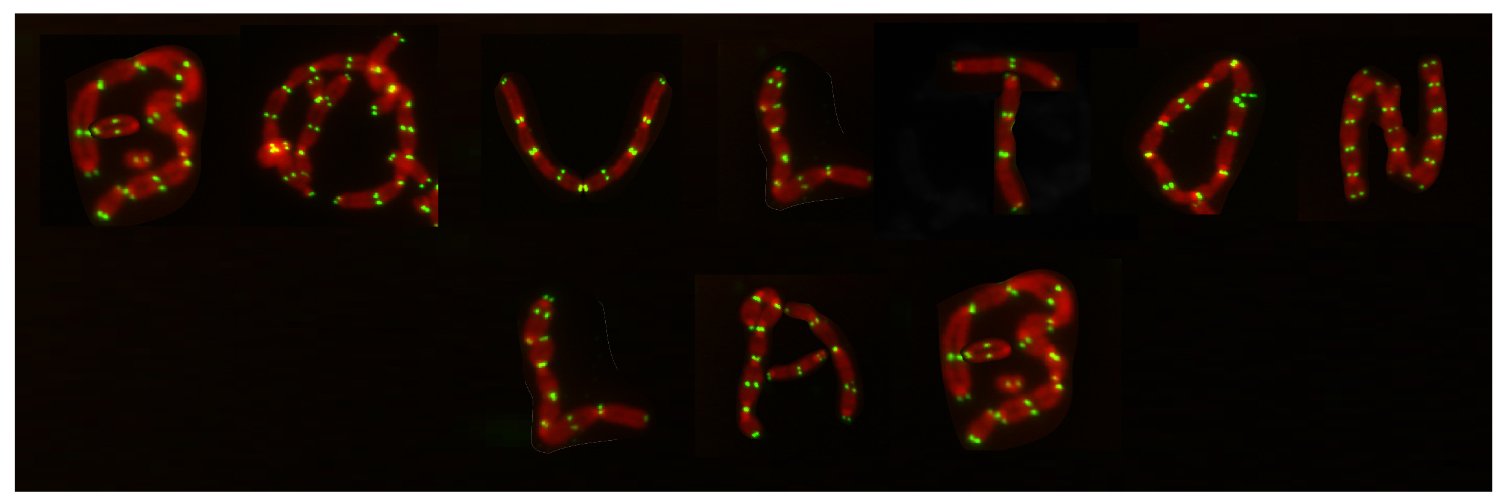 The Boulton Lab banner