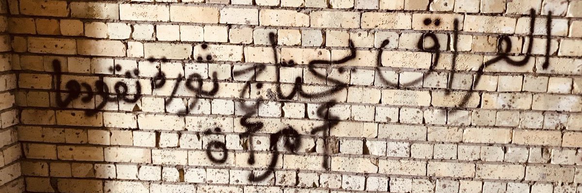 Dan 🐍 banner