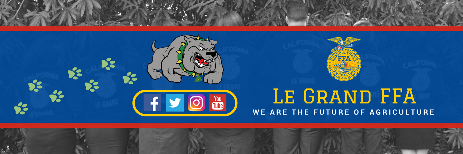 LGHSFFA's profile banner image