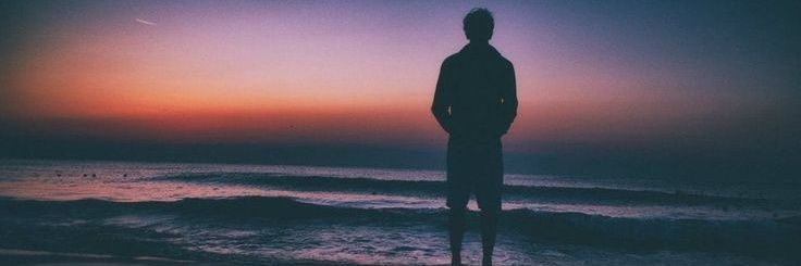 Leo. banner