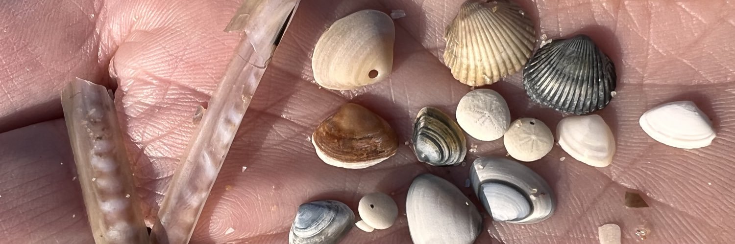 Elmar eerman🟦 banner