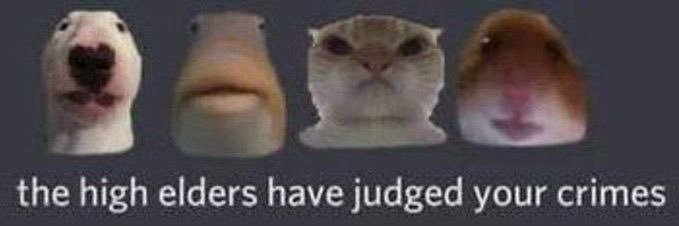 clitorisaurus_'s profile banner image
