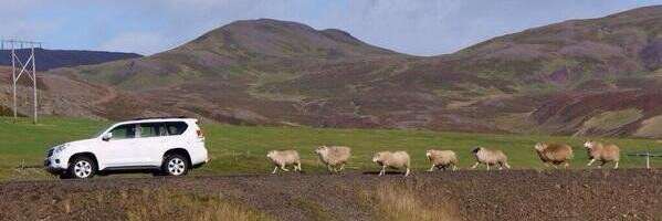 いのこり2026 banner