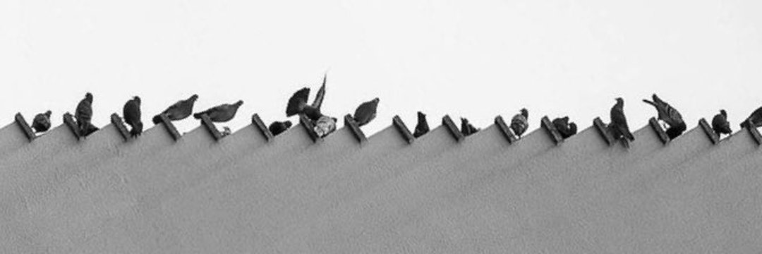 _Grafomanisel's profile banner image