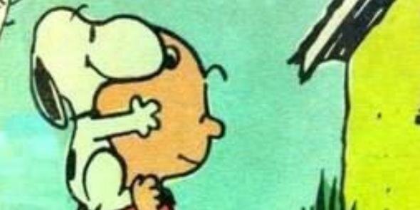 Meg_Perry2's profile banner image