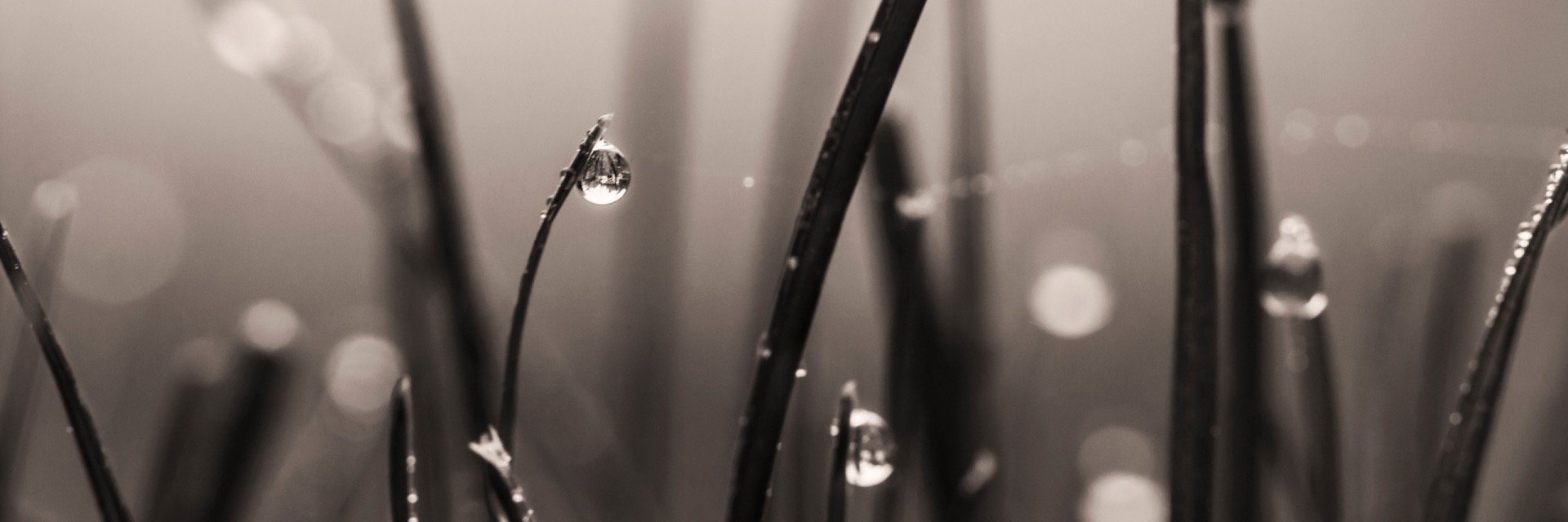 ChristinaPindy's profile banner image