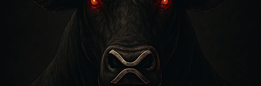 CashFlowNelson (∞) banner