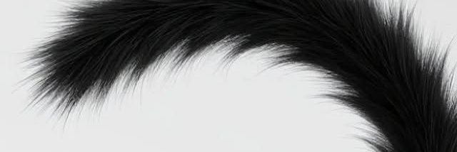 deedcavu's profile banner image