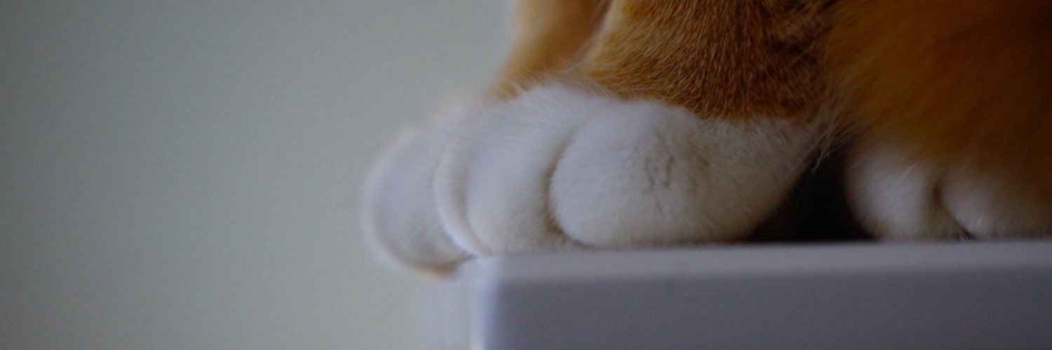 まんまるまんちかんのまる banner