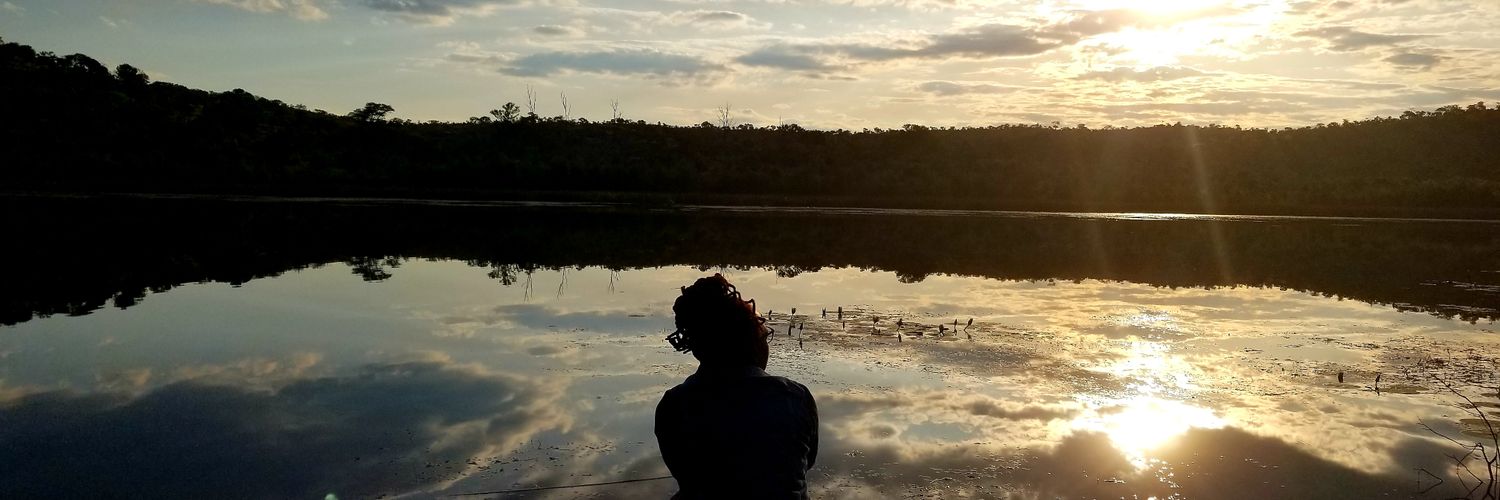 nompih's profile banner image