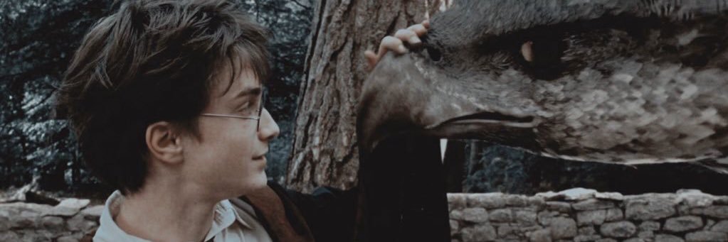 harryjpottah's profile banner image