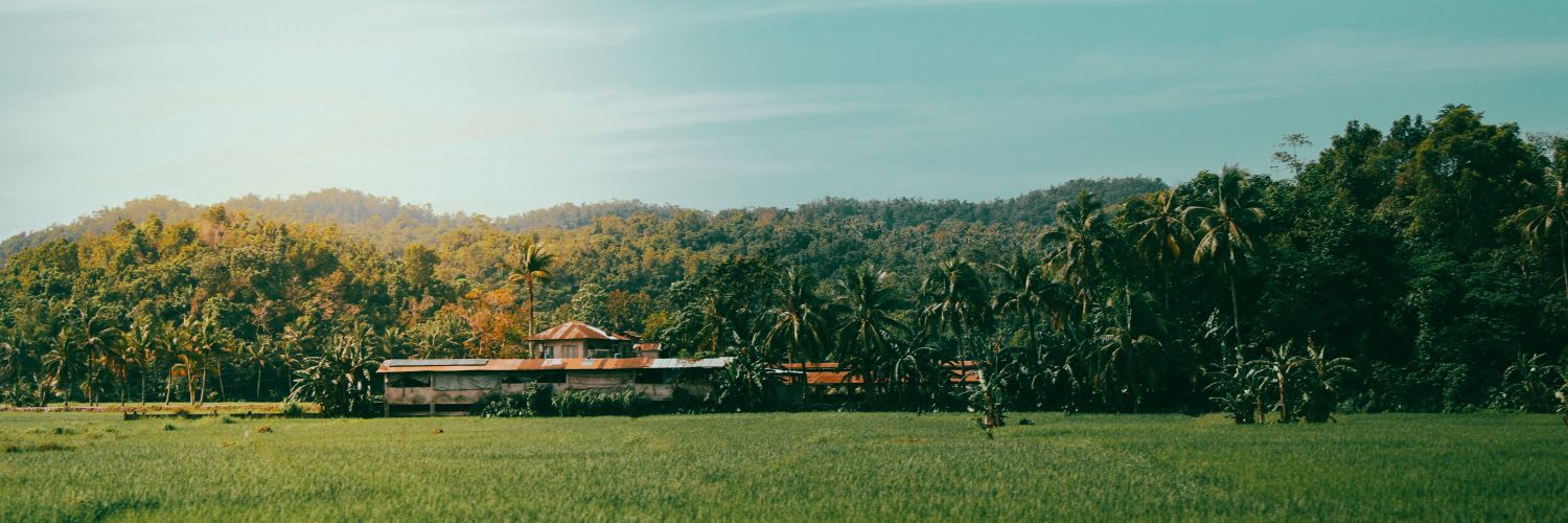 Rscelll's profile banner image