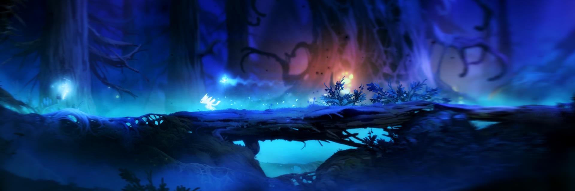 erucsbo's profile banner image
