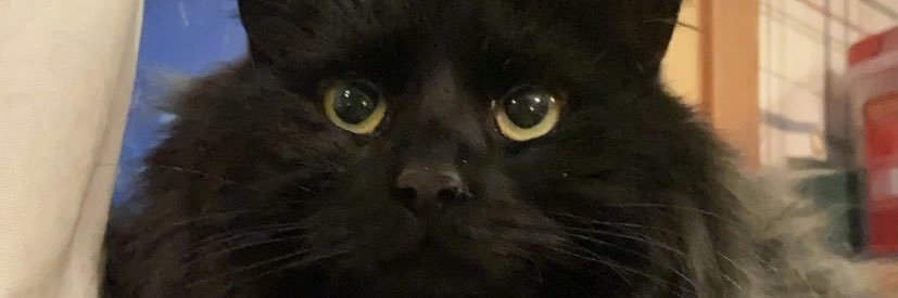 DemkoJenna's profile banner image