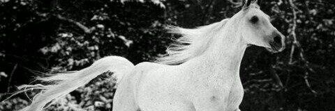 ahmad045678's profile banner image