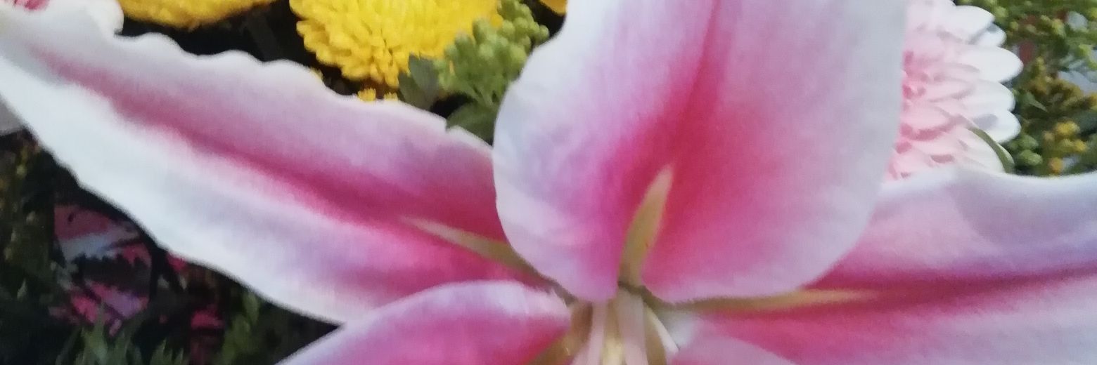 maricjaen's profile banner image