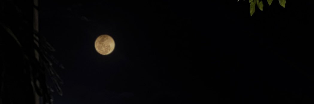 urrfavg4y's profile banner image