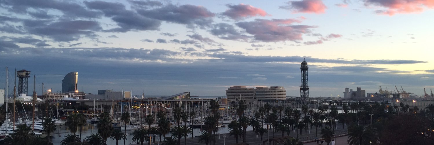 Christine Walker banner