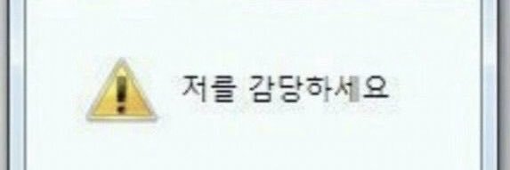 엘로우라이도 banner