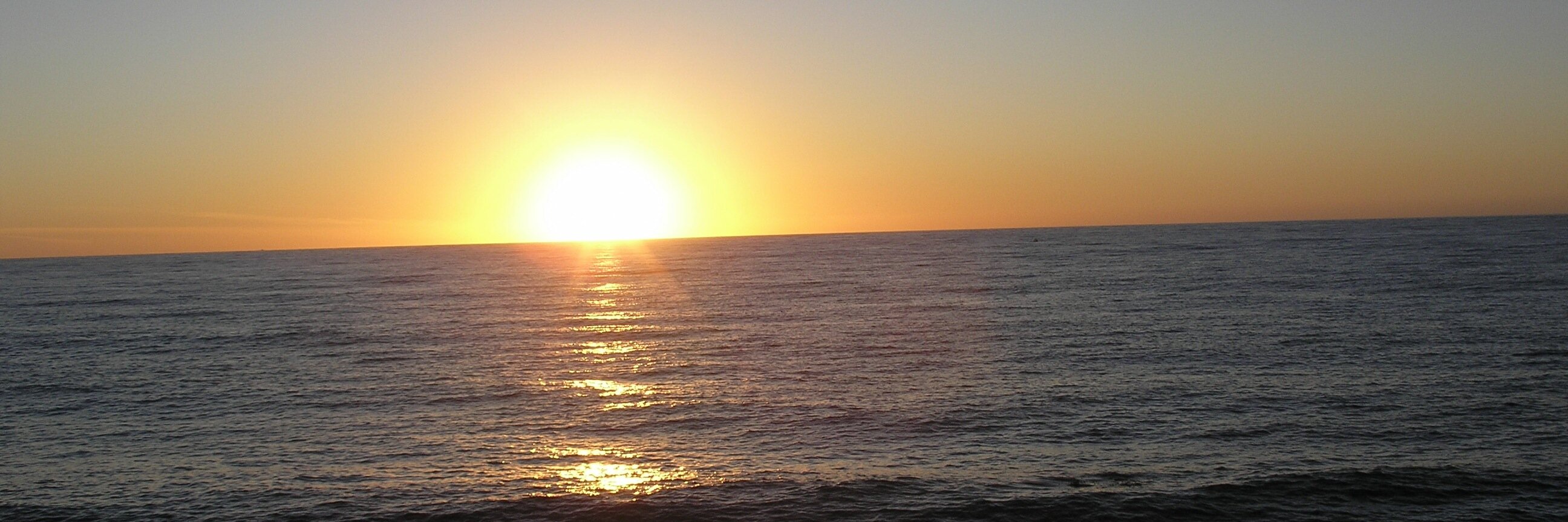 Meaghan Elizabeth banner