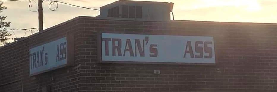 Brandy Bryant 🏳️‍⚧️'s banner