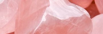 macarons's profile banner image