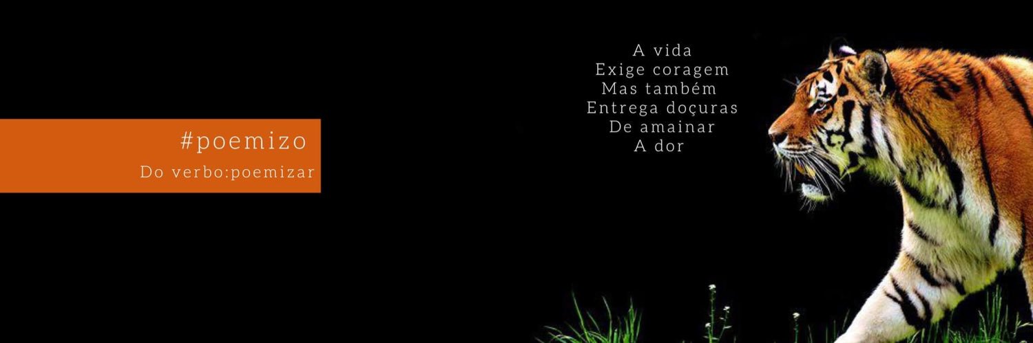 MPaulaOrganizer's profile banner image