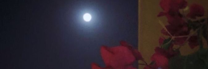 its_kinzay's profile banner image
