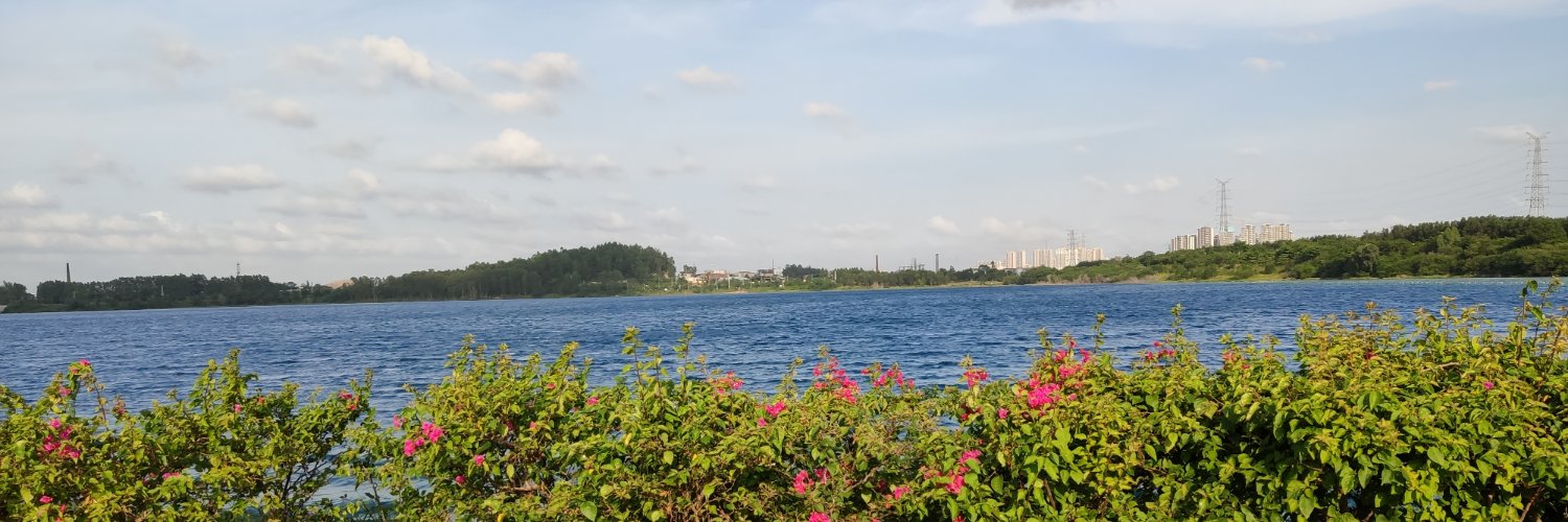 dn94914614's profile banner image