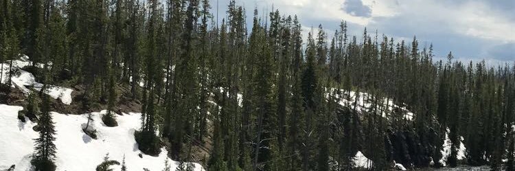 izzyakerson's profile banner image