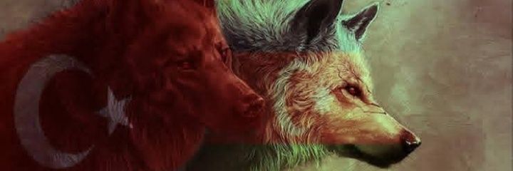 reshadll's profile banner image