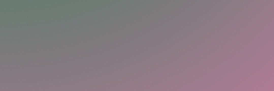 VIN banner