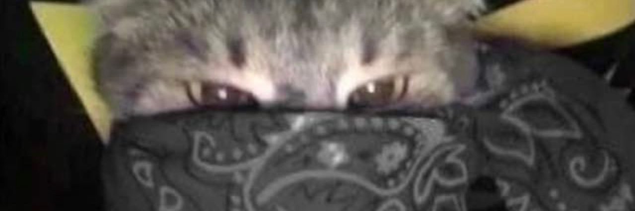 equalkucingrawr's profile banner image