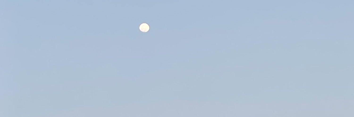 mjdjjf banner