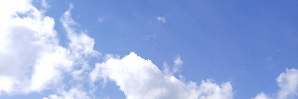 chowcoholicc's profile banner image
