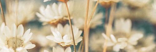 cortz_'s profile banner image