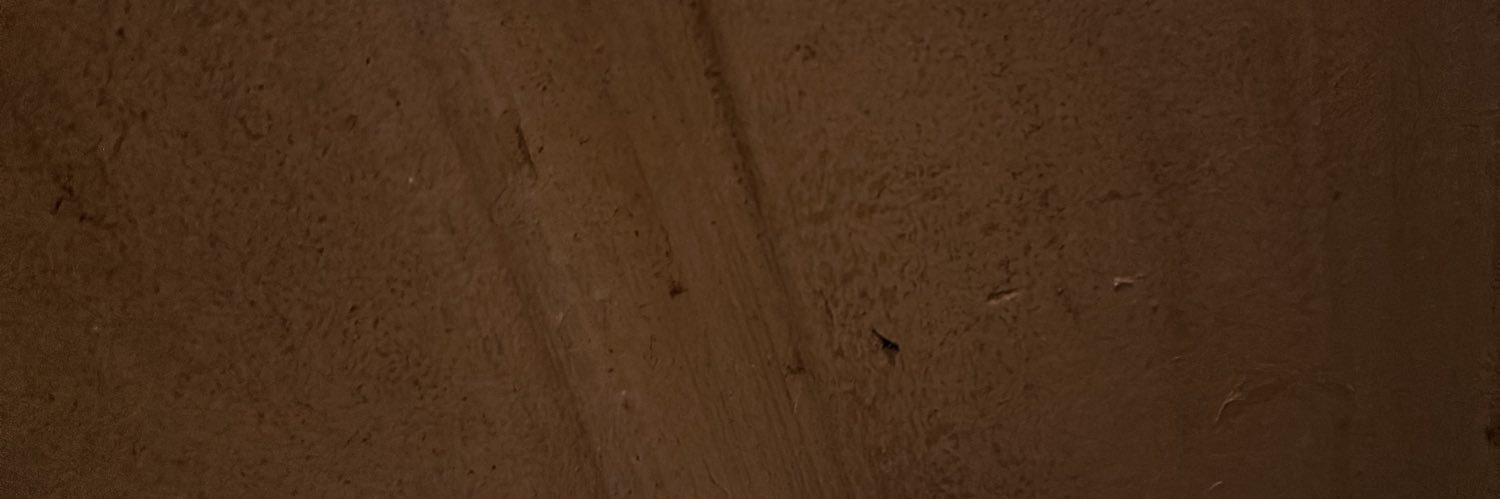 lovinbnsingle's profile banner image