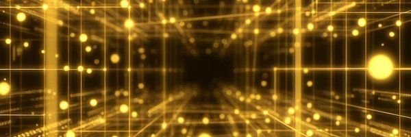 NimCrypto Profile Banner